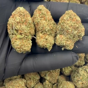 LCG Mixed Lights