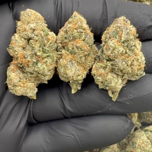 Lemon Cherry Gelato