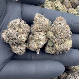 Cherry Gelato