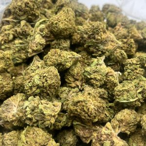 LCG Outdoor