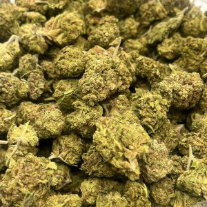Oreo Kush Outdoor